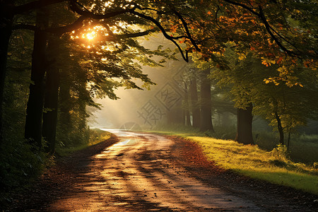 朝阳下的魔幻道路背景图片