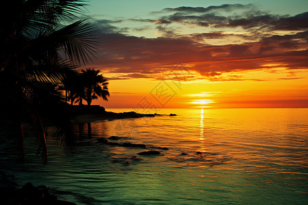 棕榈在西海岸夕阳映照下的海洋棕榈树一背景