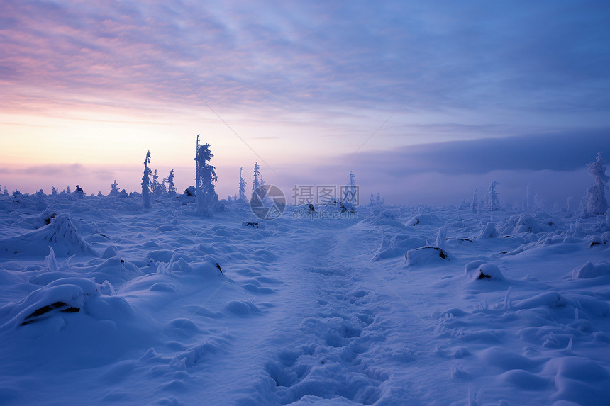 冬日白雪皑皑图片