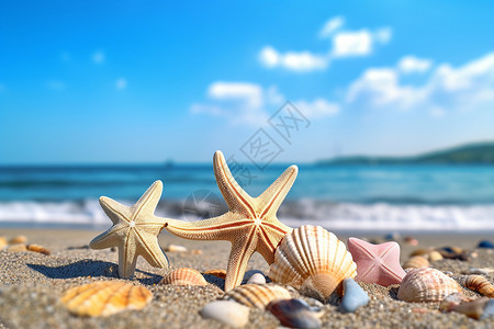 海边沙地上的海星背景图片