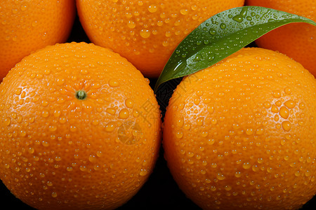 饱满水润的橙子背景图片