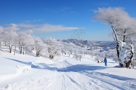 冬季白雪覆盖的雪山景观背景图片