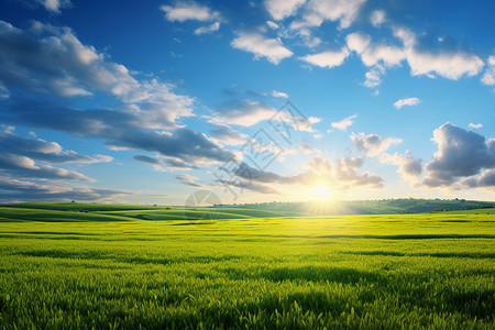 夏日阳光下的乡村草原背景图片