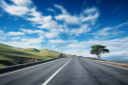 高速公路两旁的大树背景图片