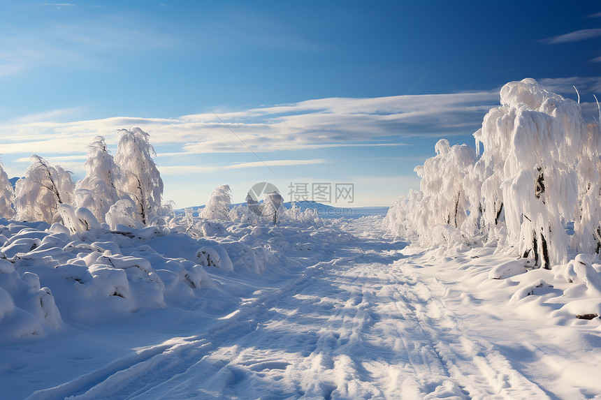 冬天雪地覆盖的公路图片