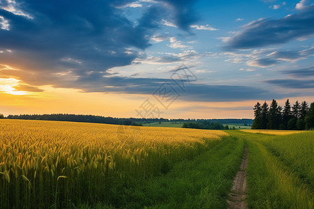 夕阳下的乡间小路高清图片