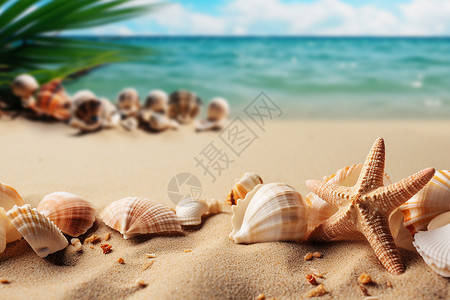 贝壳和海星背景图片