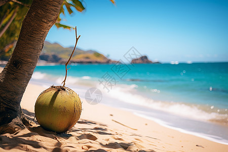 夏季度假海滩的美丽景观背景图片