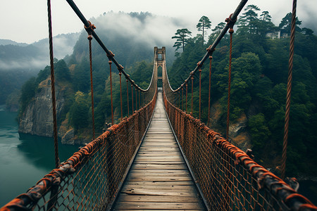 迷雾森林中的悬索桥背景图片