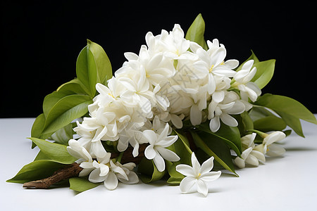 清新的白花束高清图片