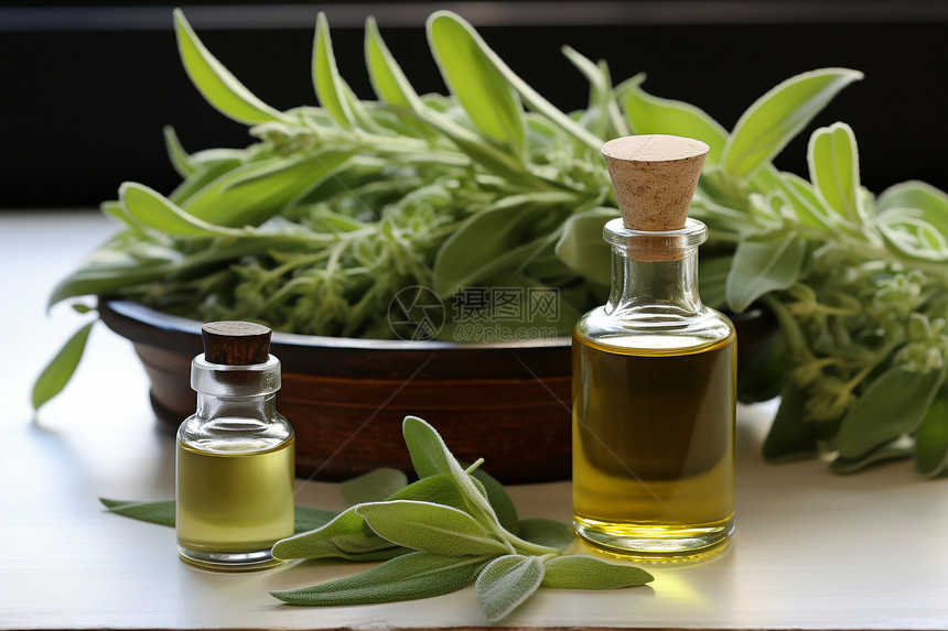 桌面上健康的橄榄叶油图片