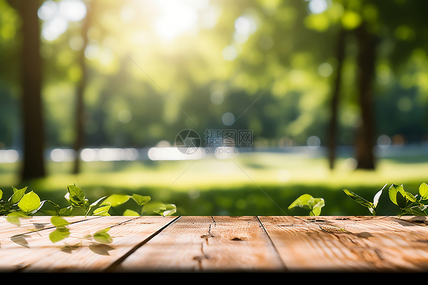 阳光照射在公园的木桌上图片