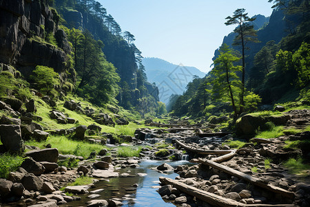 峡谷中的流水小溪背景图片