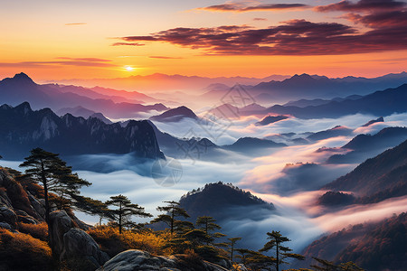 云海黄山背景图片