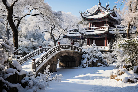 雪花飘落在树上雪花飘落在园子里背景