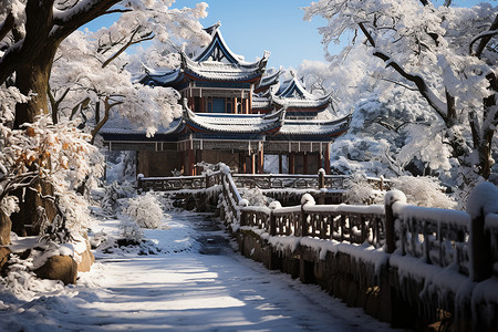 冬日之园背景图片