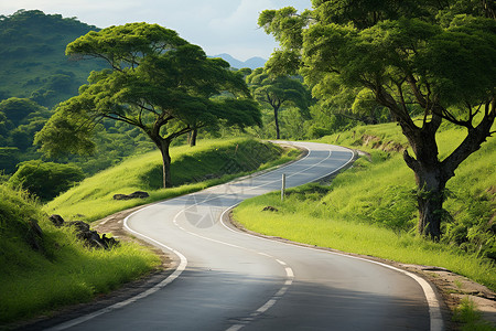 户外宁静的道路背景图片