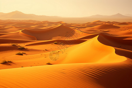 荒漠黄昏的壮丽景色高清图片