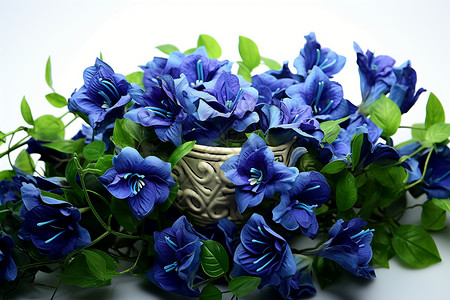 花瓶里的鲜花背景图片