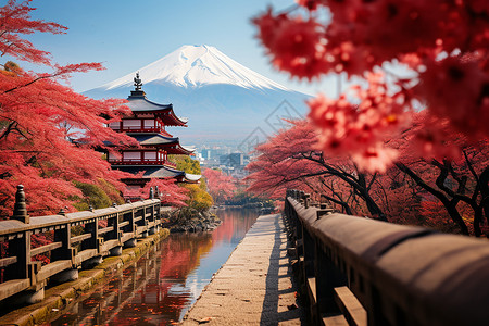 富士山下的美丽景色背景图片