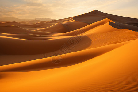 金色美丽圆环美丽的沙漠背景