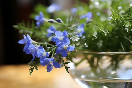 花瓶里的蓝色小花背景图片