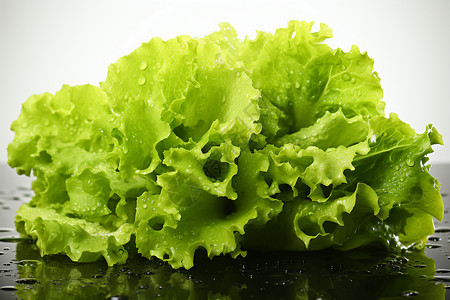 水珠点缀的绿叶蔬菜高清图片
