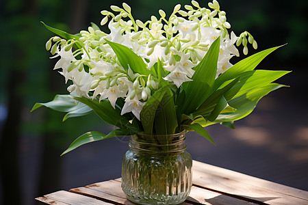 季花园中的清新的白色花束背景图片