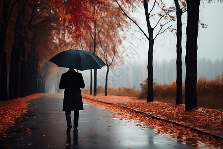一个人撑着雨伞在街头背景图片