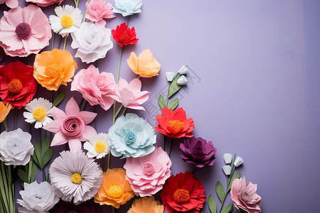 紫色墙壁上的花朵背景图片