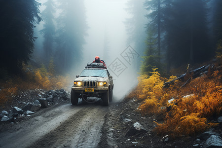 迷雾森林里的越野车背景图片