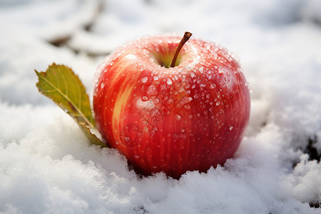 冬日红苹果雪地里面的一筐苹果高清图片