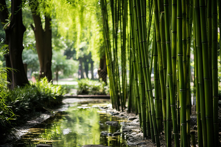 竹林小溪背景