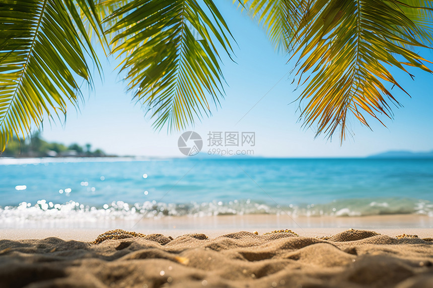椰树掩映的沙滩图片