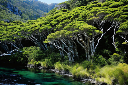 山川叠翠的自然风光背景图片