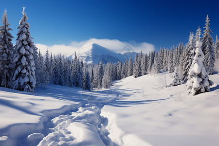 冬季壮丽的雪山背景图片