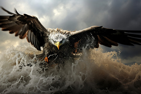 波浪上飞翔的老鹰背景图片