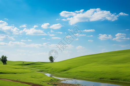 绿色的田野背景图片