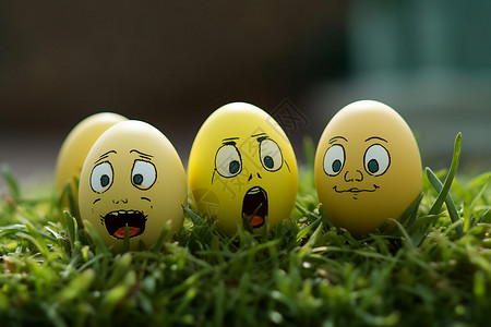 鸡蛋表情草地上的表情蛋背景