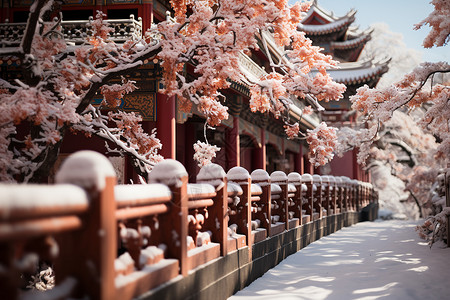 屋檐雪雪中的中国建筑背景