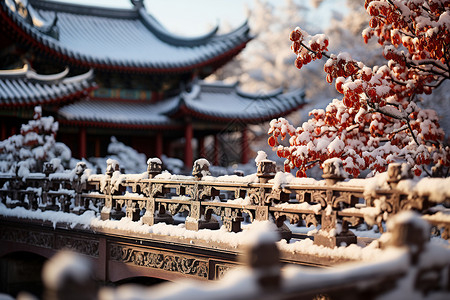 雪是树上花朵冬日桥畔背景