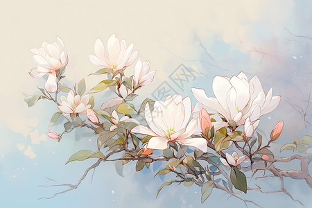 之白玉兰花自然之美的玉兰花插画
