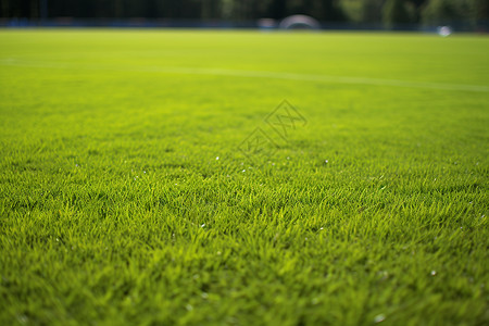 绿草如茵的体育场地高清图片