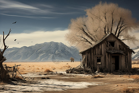 沙漠中的小屋背景图片
