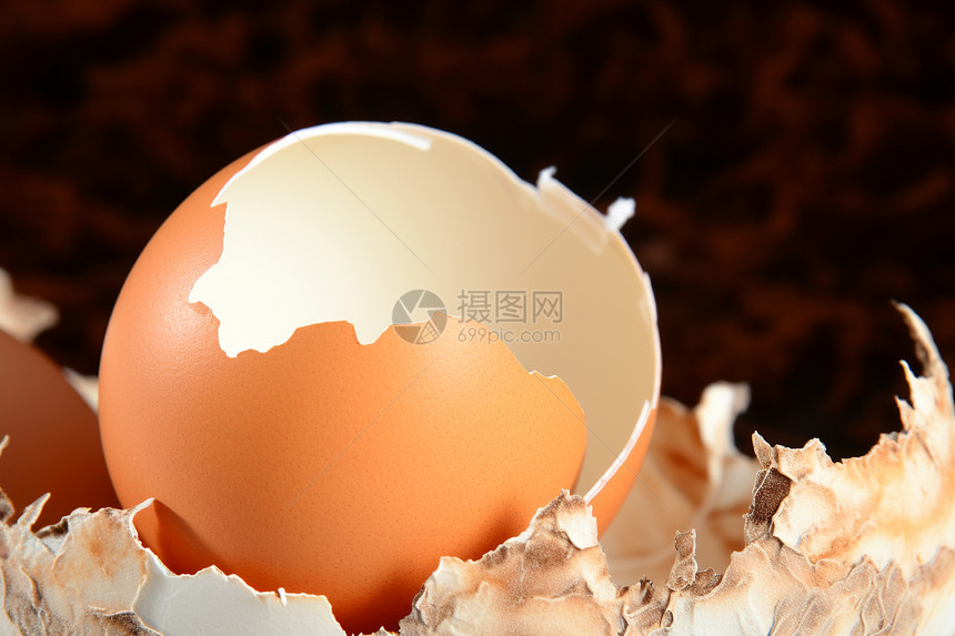 裂开的蛋壳图片