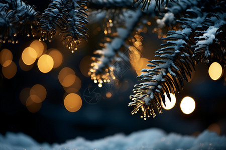 圣诞树冬天冬季夜晚的风景背景