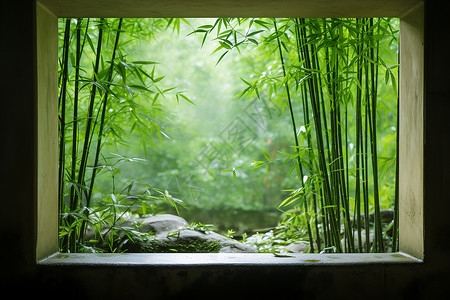 青翠美丽竹子窗外丛林之景背景