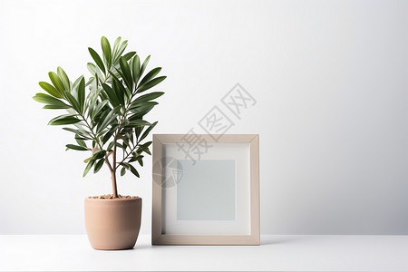 相框和盆栽背景图片