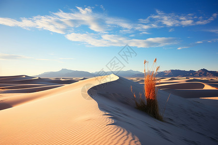 沙漠中的自然景观背景图片