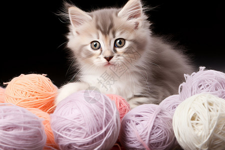 毛线球玩偶猫咪羊毛线高清图片